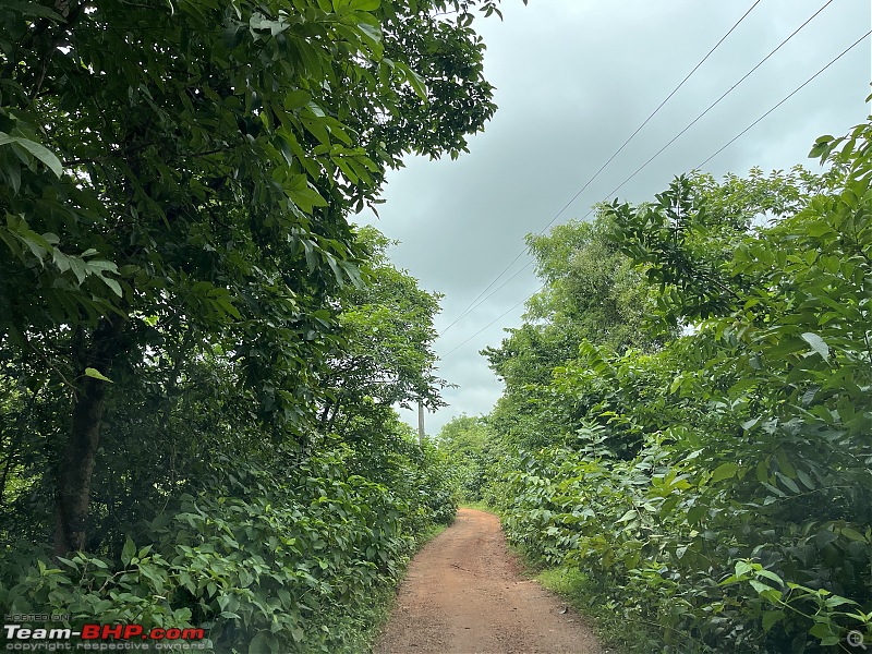 Weekend drive to a wonderland - Tensa, Odisha-img_1619.jpeg