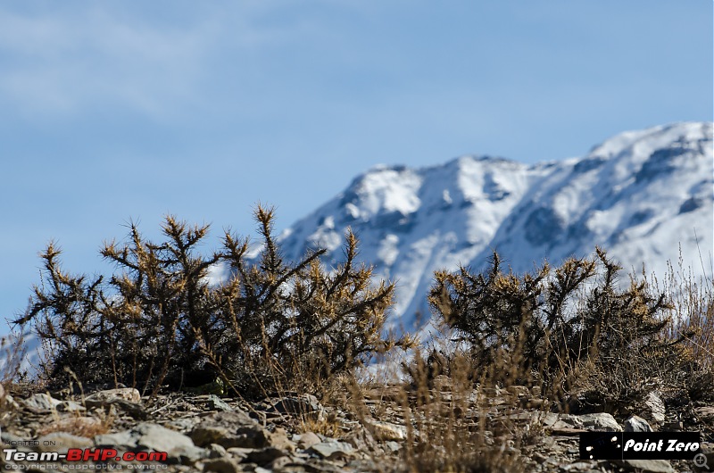 Winter was there when we sailed for the North - Spiti & Uttarakhand-tkd_1251.jpg