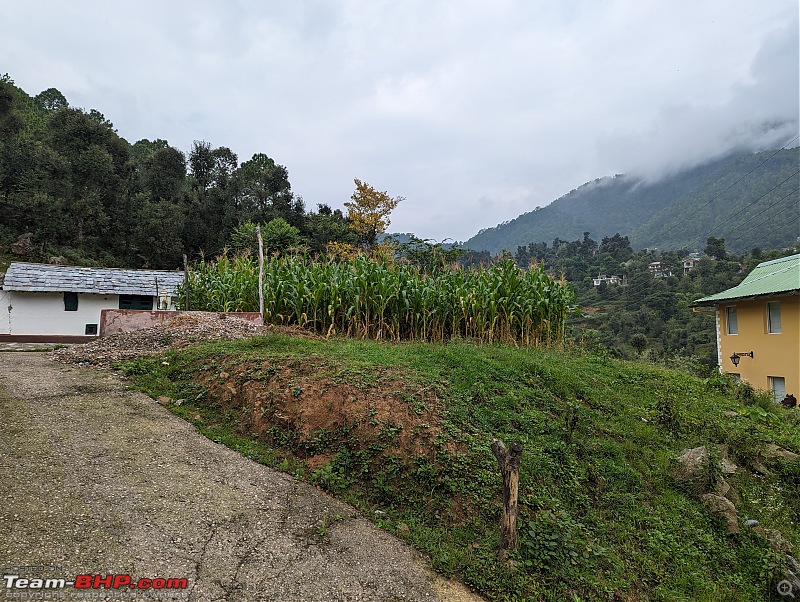 A solo, peaceful and quiet retreat at the foothills of the Himalayas-pxl_20230913_032445052.jpg