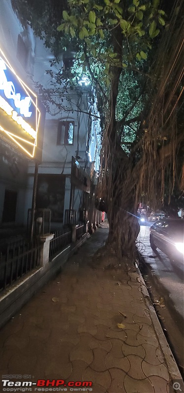 A Solo's Sojourn into the 1st Colonial Capital - Kolkata-banyan.jpg