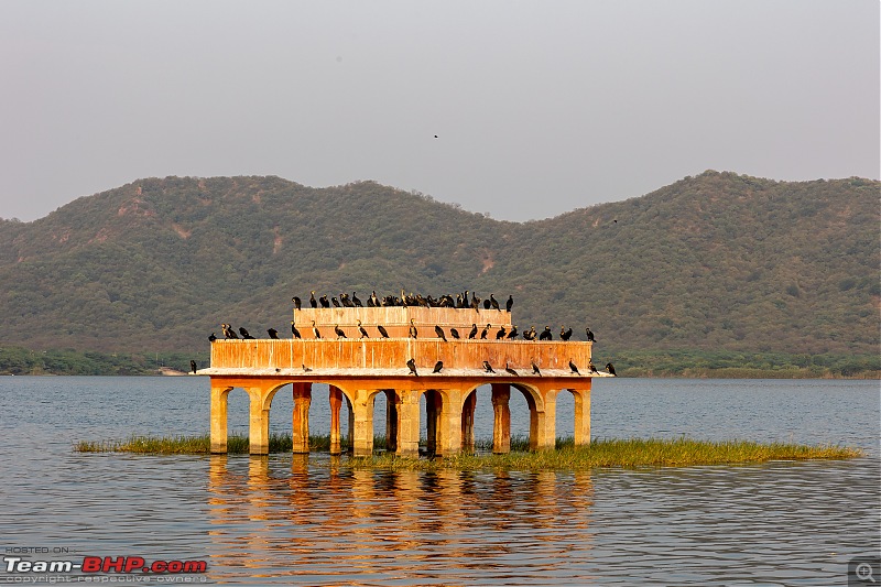 A Road Trip to Leh and Hanle in a BMW 330i GT-jal-mahal-4.jpg