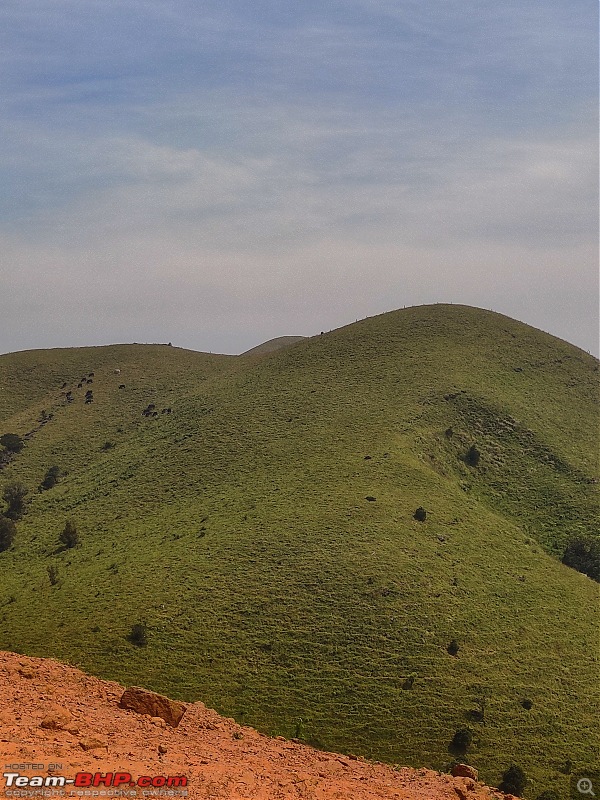 Three Thars and the Hills of Coorg-img_20231113_12583601.jpeg