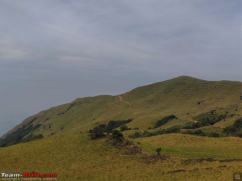 Three Thars and the Hills of Coorg-img_20231113_12551401.jpeg