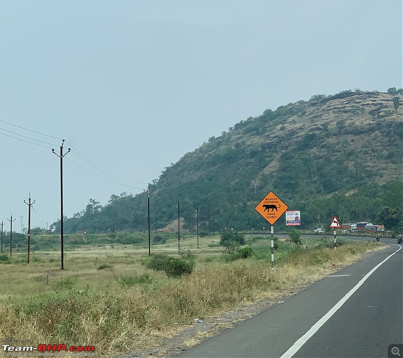 Visit to Gondeshwar Temple & Nashik Winery-wildlife-crossing.jpg