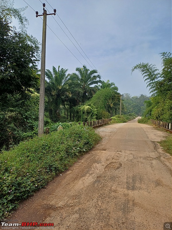 Kodagu for fitness lovers-road-towards-cottage.jpg