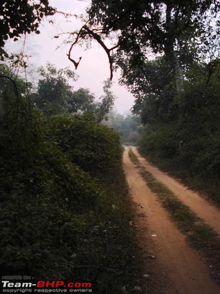 Roadtrip through Rajasthan on Safari-dsc03649-medium.jpg