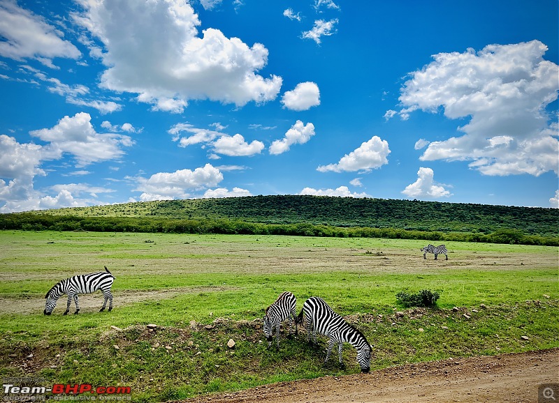 Experience of a lifetime - The Masai Mara - A dream heaven for wildlife lovers-img_8595.jpg