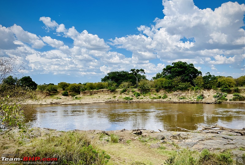 Experience of a lifetime - The Masai Mara - A dream heaven for wildlife lovers-img_8960.jpg