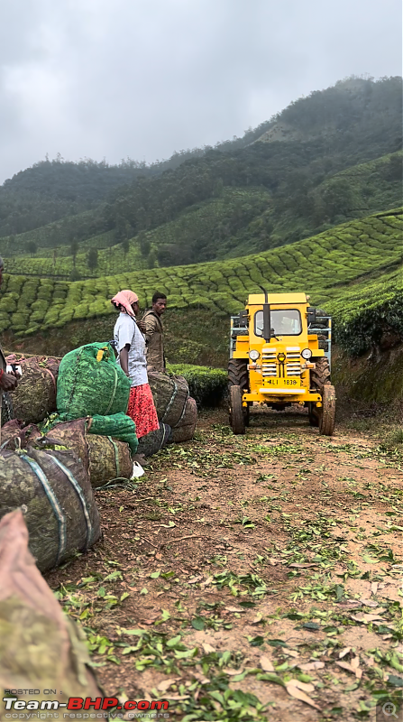 To Arivikad East Division Bungalow in a BMW 630d-teaharvester.png