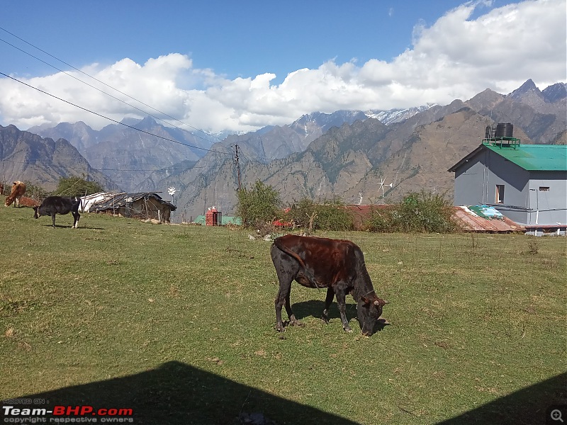 From palaces to peaks - Uttar Pradesh & Uttarakhand - Simply heaven!-img_20231020_132429.jpg