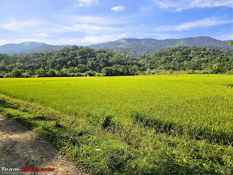 My Travel Diary | Campfire Tales, Safari Trails, and Midnight Beach Strolls | Wayanad and Calicut-20231202_100448.jpg