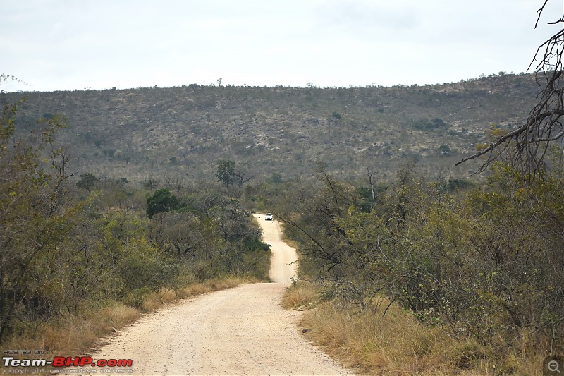 The Kruger National Park, South Africa - Photologue-its-all-kruger-1.jpg