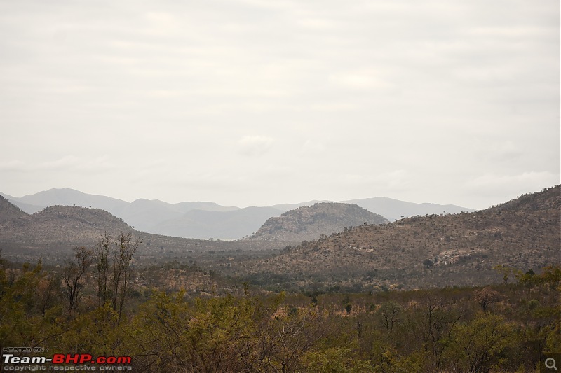 The Kruger National Park, South Africa - Photologue-its-all-kruger-2.jpg