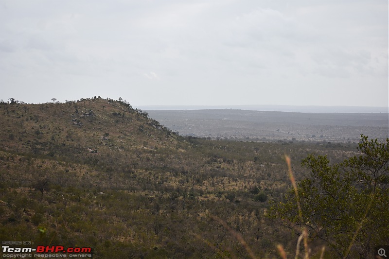 The Kruger National Park, South Africa - Photologue-kruger-landscape.jpg