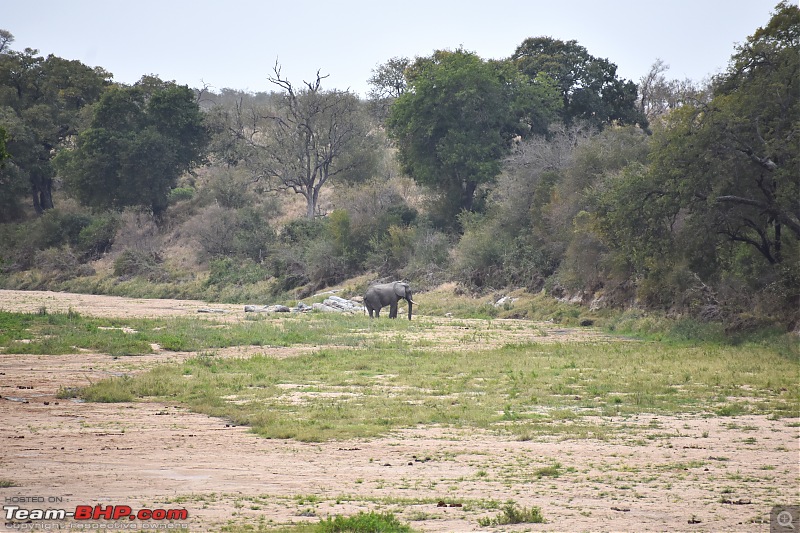 The Kruger National Park, South Africa - Photologue-elephant-riverbed.jpg