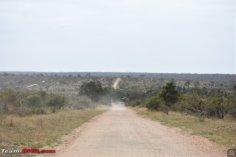 The Kruger National Park, South Africa - Photologue-long-way-go.jpg