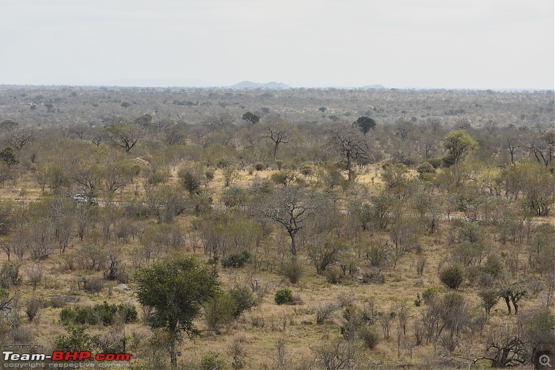 The Kruger National Park, South Africa - Photologue-granokop.jpg
