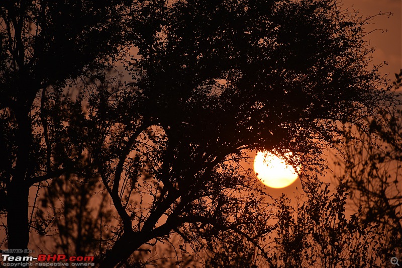 The Kruger National Park, South Africa - Photologue-african-sun.jpg