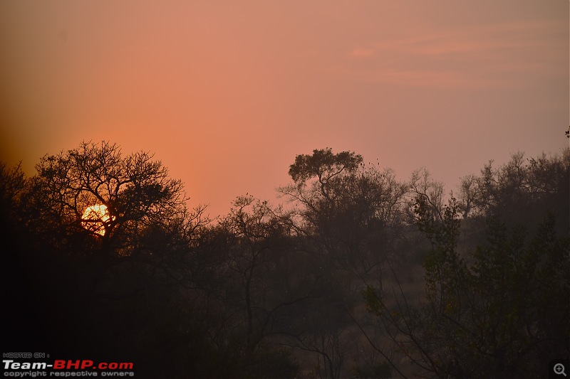 The Kruger National Park, South Africa - Photologue-morning-sun.jpg