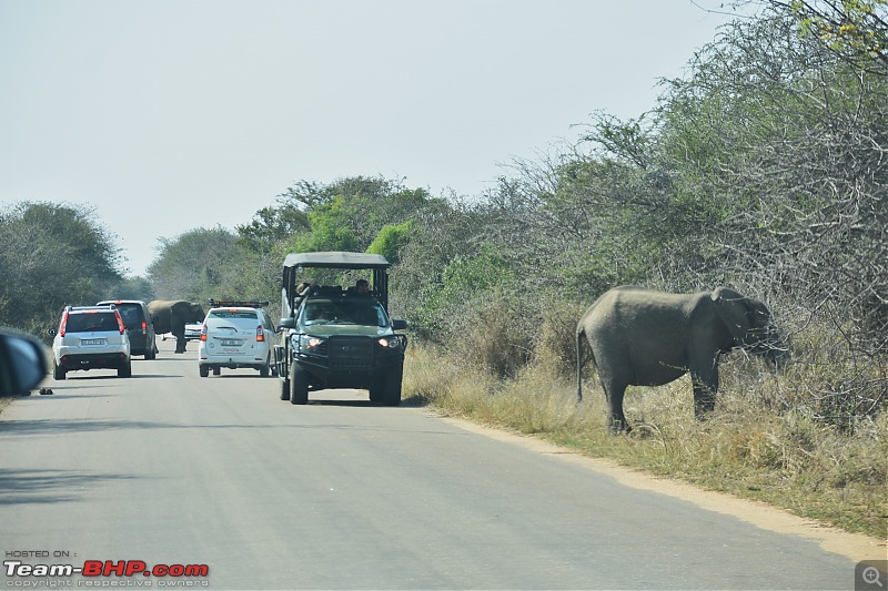 The Kruger National Park, South Africa - Photologue-elephants-many.jpg