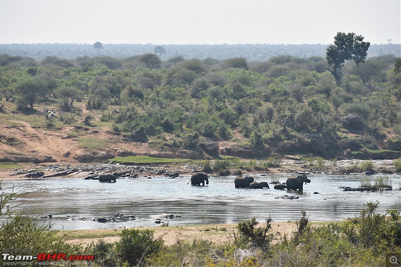 The Kruger National Park, South Africa - Photologue-elephants-river.jpg