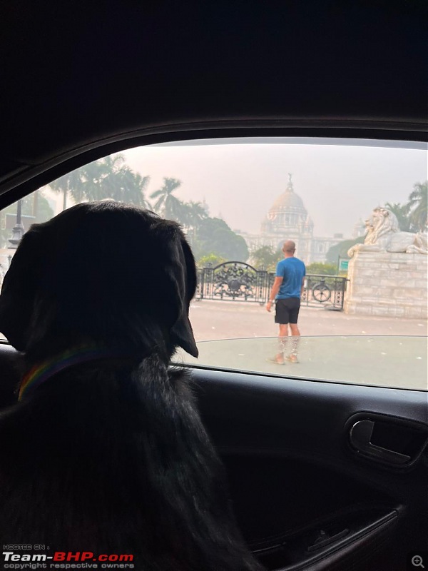 Pujo special: A journey from Bangalore to Kolkata with furr baby-victoriamemorial_2.jpg