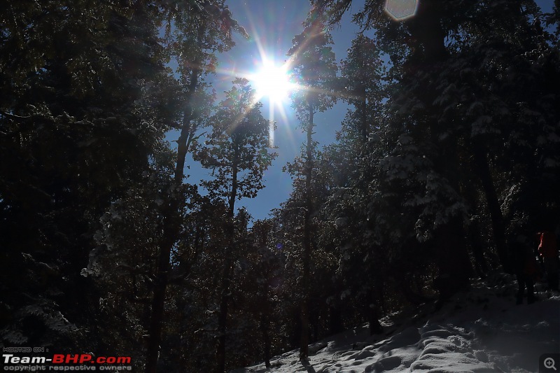 Trekking at Kuari Pass | Organised by Indiahikes-day3_2min.jpg