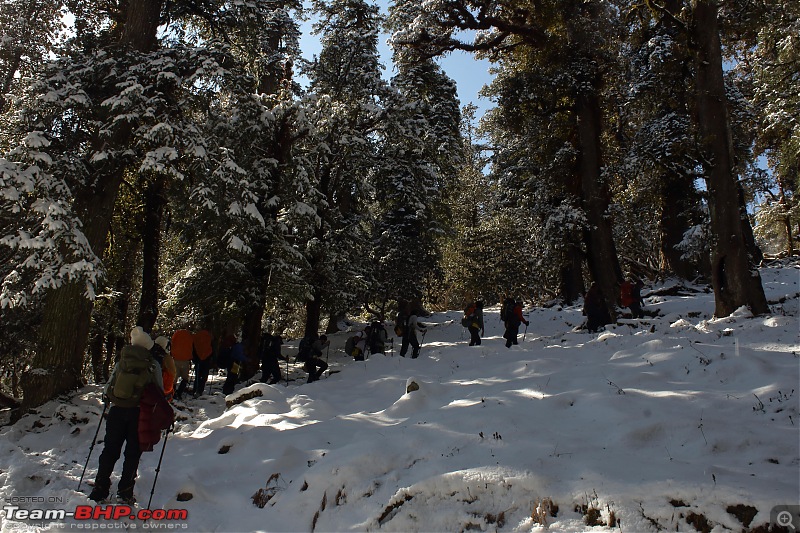 Trekking at Kuari Pass | Organised by Indiahikes-day3_3min.jpg