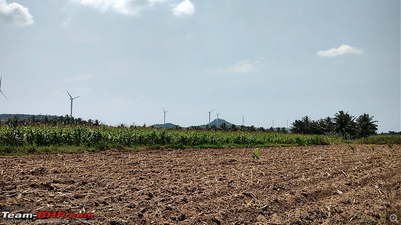 Milling around Windmills - A ride to Mavanuru Shri Malleshwara Temple-field-windmills.jpg