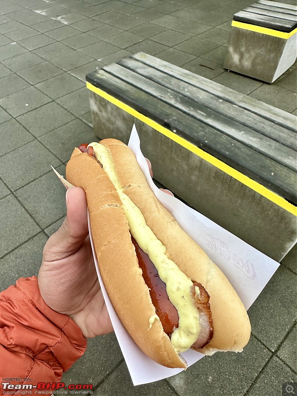 Solo road-trip around Iceland in a Camper Van-hotdog.jpeg