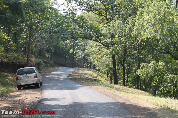 Haiku From The Dangs (The Forest Belt Of Gujarat)-road_warrior.jpg