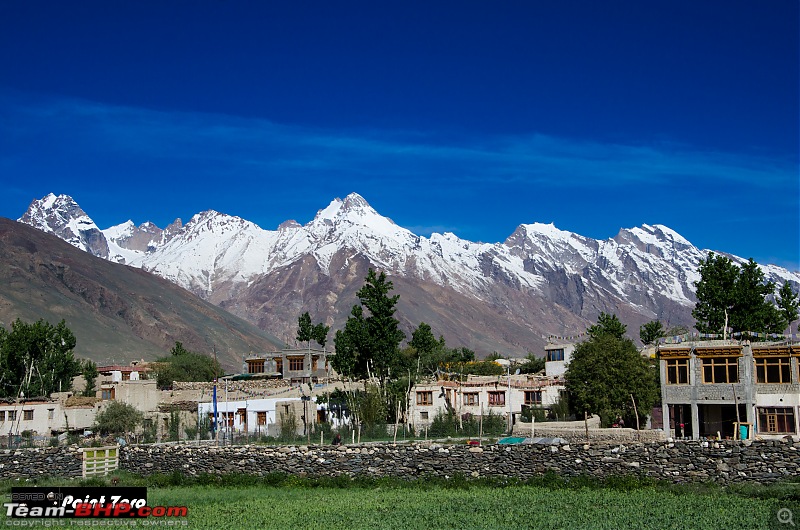 Uncharted Destinations - Zanskar, Aryan Valley & Gurez Valley-tkd_7750.jpg