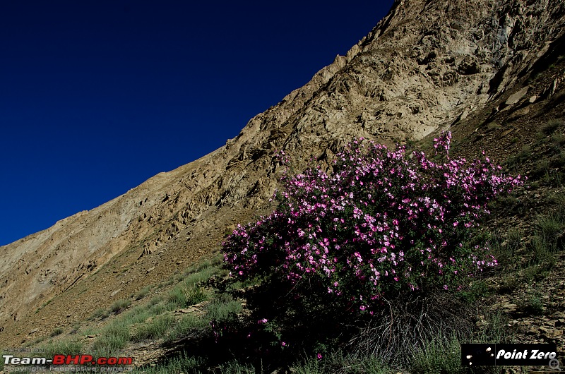 Uncharted Destinations - Zanskar, Aryan Valley & Gurez Valley-tkd_7982.jpg