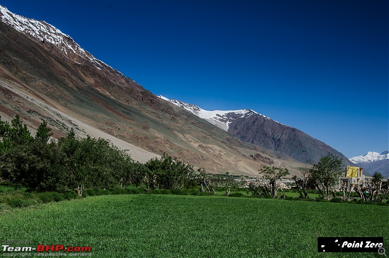 Uncharted Destinations - Zanskar, Aryan Valley & Gurez Valley-tkd_8013.jpg