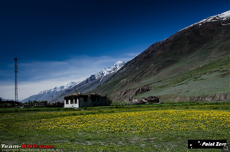 Uncharted Destinations - Zanskar, Aryan Valley & Gurez Valley-tkd_8096.jpg