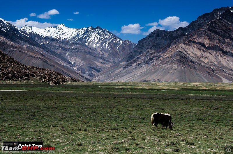 Uncharted Destinations - Zanskar, Aryan Valley & Gurez Valley-tkd_8278.jpg
