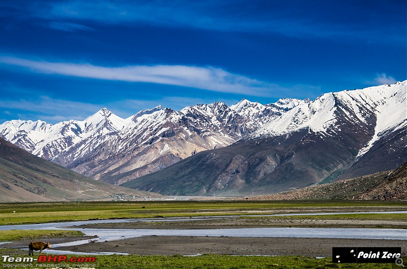 Uncharted Destinations - Zanskar, Aryan Valley & Gurez Valley-tkd_8283.jpg