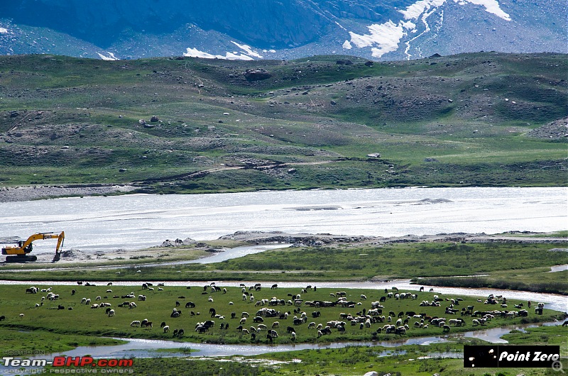 Uncharted Destinations - Zanskar, Aryan Valley & Gurez Valley-tkd_8293.jpg