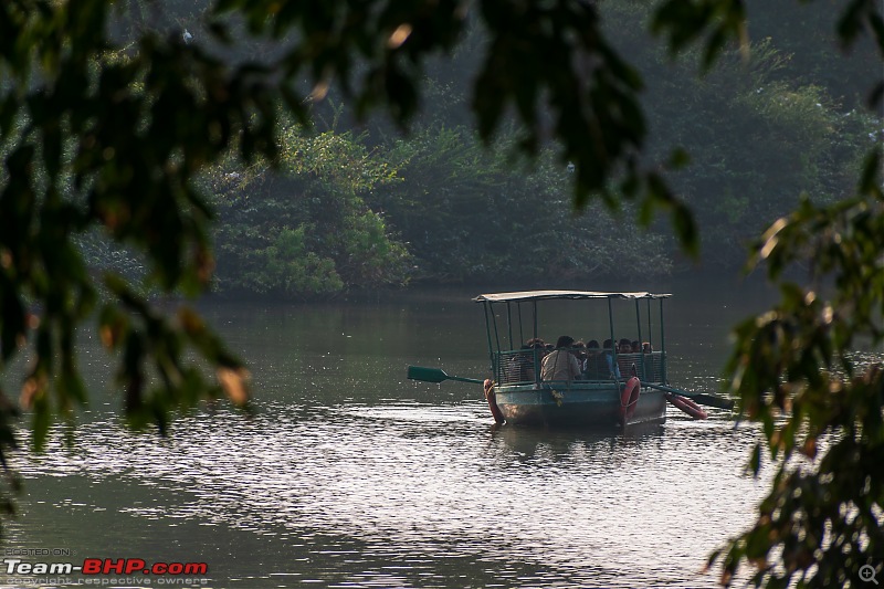 Impromptu Afternoon Drive to Ranganathittu Bird Sanctuary-rangnathittu202411.jpg