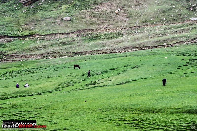 Uncharted Destinations - Zanskar, Aryan Valley & Gurez Valley-tkd_8346.jpg