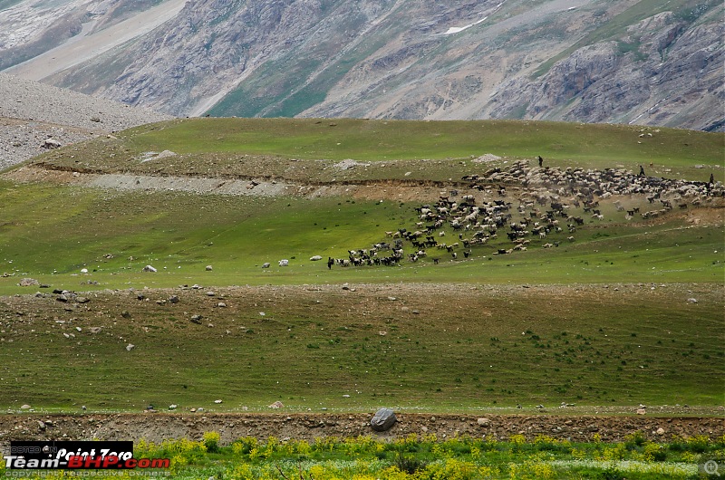 Uncharted Destinations - Zanskar, Aryan Valley & Gurez Valley-tkd_8630.jpg
