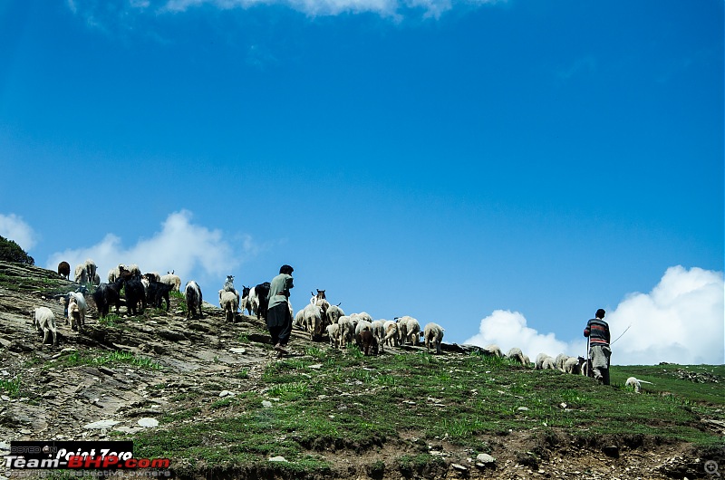 Uncharted Destinations - Zanskar, Aryan Valley & Gurez Valley-tkd_8791.jpg