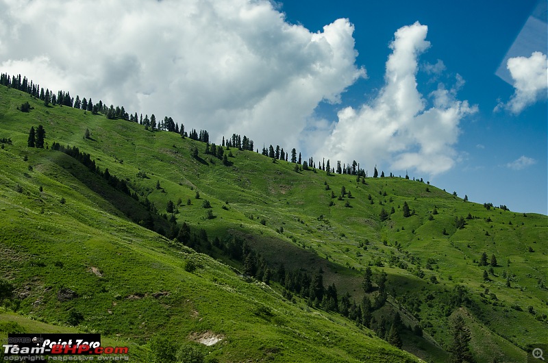 Uncharted Destinations - Zanskar, Aryan Valley & Gurez Valley-tkd_8826.jpg