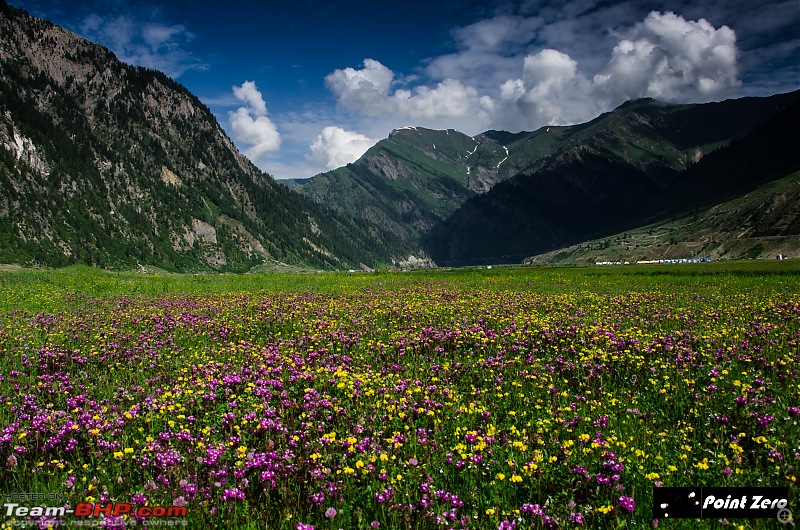 Uncharted Destinations - Zanskar, Aryan Valley & Gurez Valley-tkd_8944.jpg