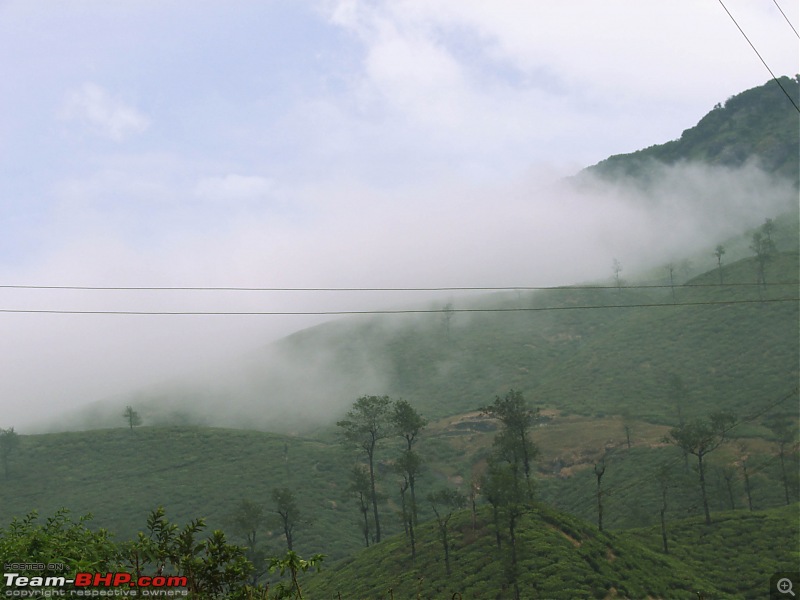 Liesure trip --- Bangalore - TopSlip - Parambikulam Forest - Valparai - Bangalore-dsc09117.jpg