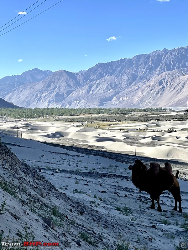 Shifting Gears and Shifting Perspectives: Finding Ladakh in our rearview mirror-img_8159.jpg