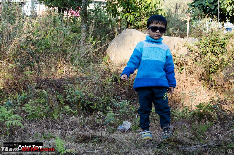 Peak Moments: A Year-End Himalayan Odyssey with My Little Explorer-tkd_9611.jpg