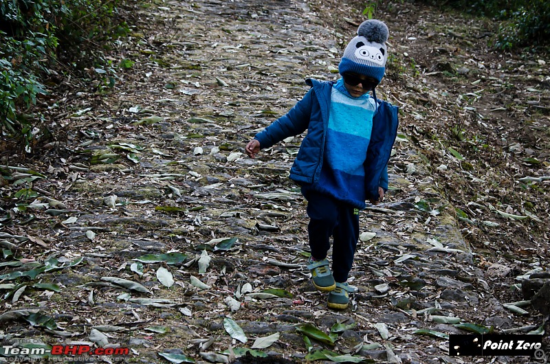 Peak Moments: A Year-End Himalayan Odyssey with My Little Explorer-tkd_9667.jpg