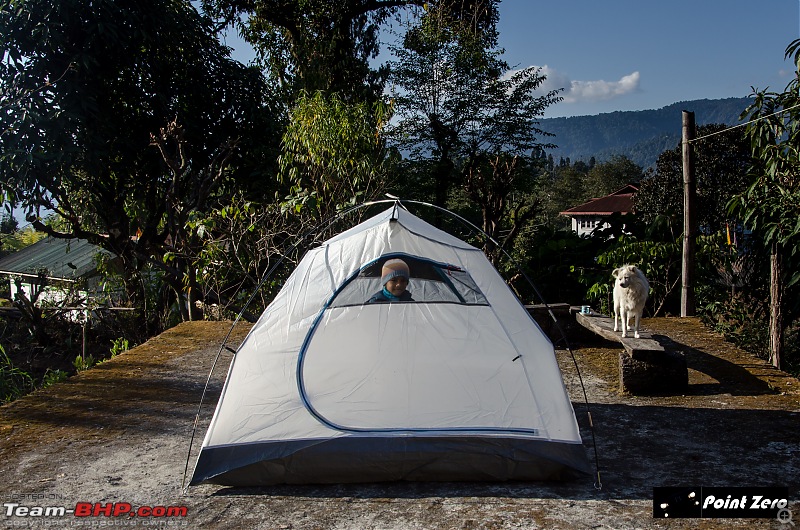 Peak Moments: A Year-End Himalayan Odyssey with My Little Explorer-tkd_9638.jpg