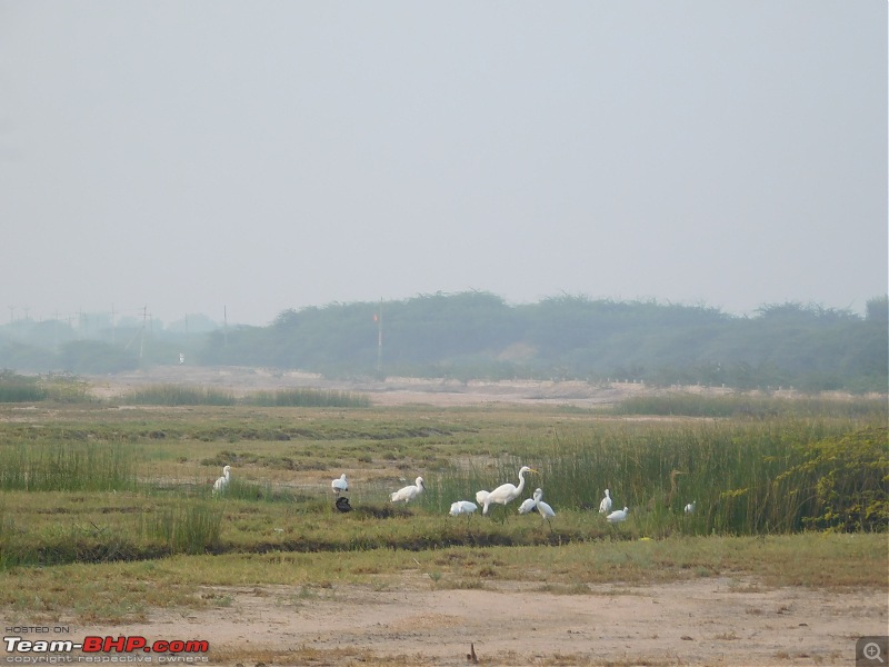 Run to the Little Rann, Dholavira and Lakhpat; a journey back in time-dscn2044.jpg